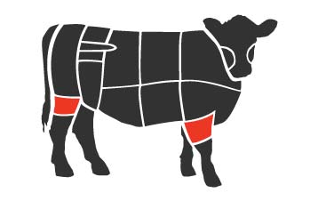 Silhouette of a black steer with the primal cuts outlined in white and the femur and humerus bones shown in red 
