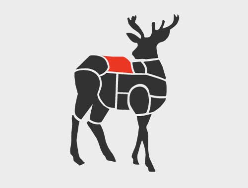 venison loin section