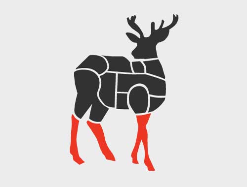 venison shank section