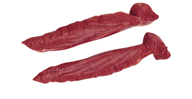 Two whole venison tenderloins, raw