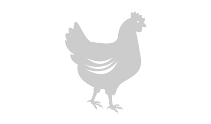 Poulet Rouge Chicken silhouette