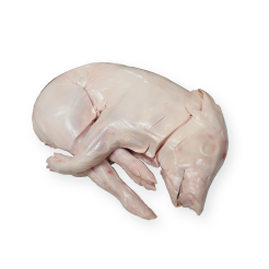 Whole suckling pig, raw