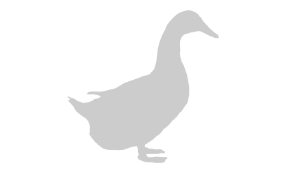 Duck silhouette