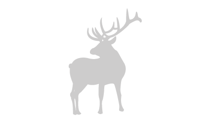 Elk silhouette