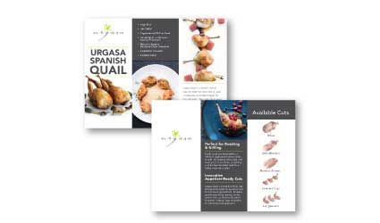 Example of a brochure for Urgasa quail