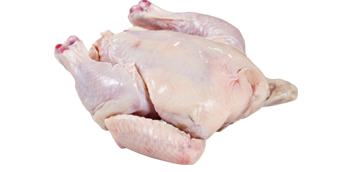 Whole poussin, raw