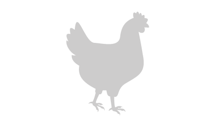 Poussin silhouette
