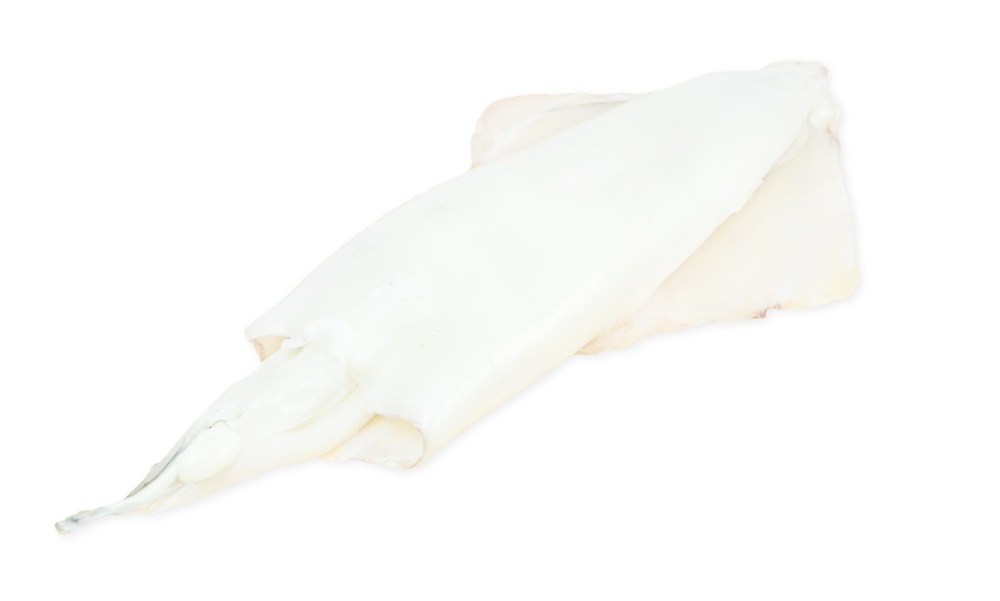 Whole Spanish squid, raw