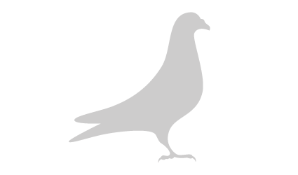 Squab silhouette