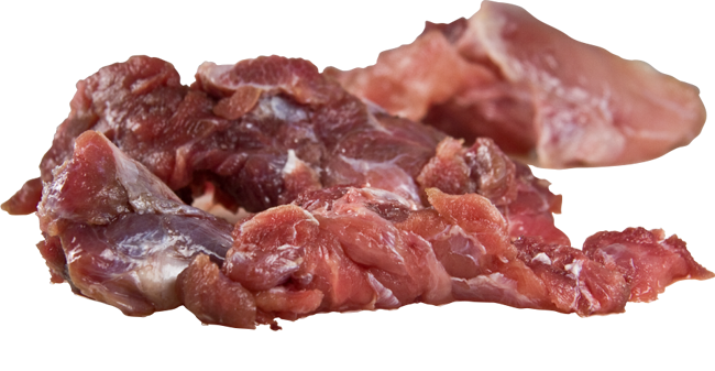 Raw boneless turtle meat